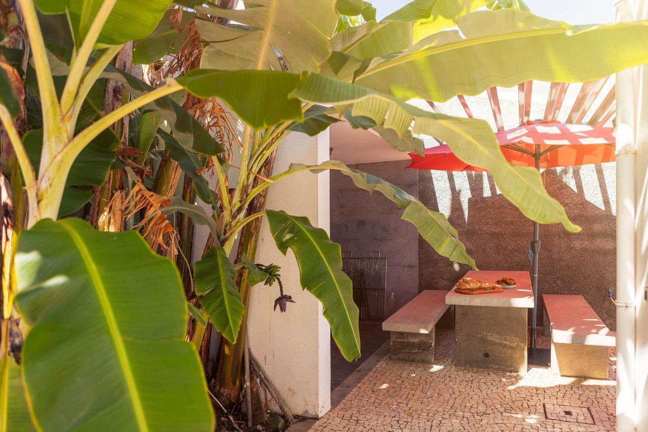 Villa Amplitude Câmara de Lobos Dış mekan fotoğraf